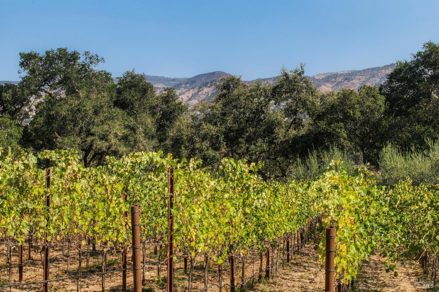 45 Vineyard View Drive Napa CA 94558