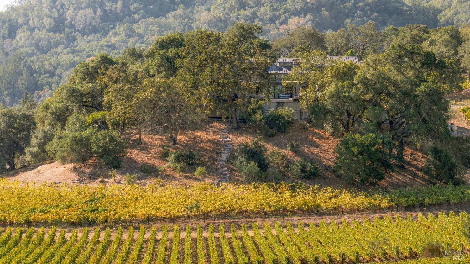 45 Vineyard View Drive Napa CA 94558