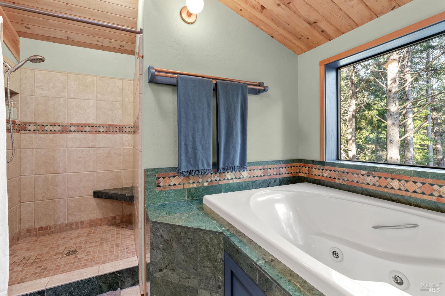 880 River Beach Road The Sea Ranch CA 95497