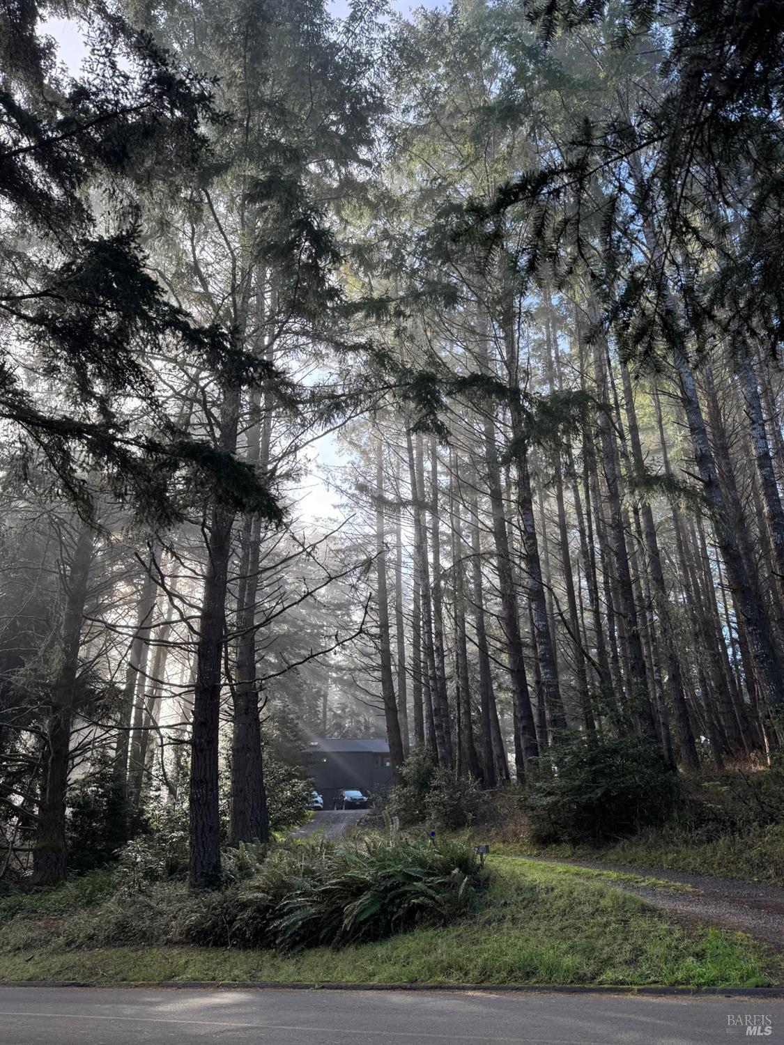 880 River Beach Road The Sea Ranch CA 95497
