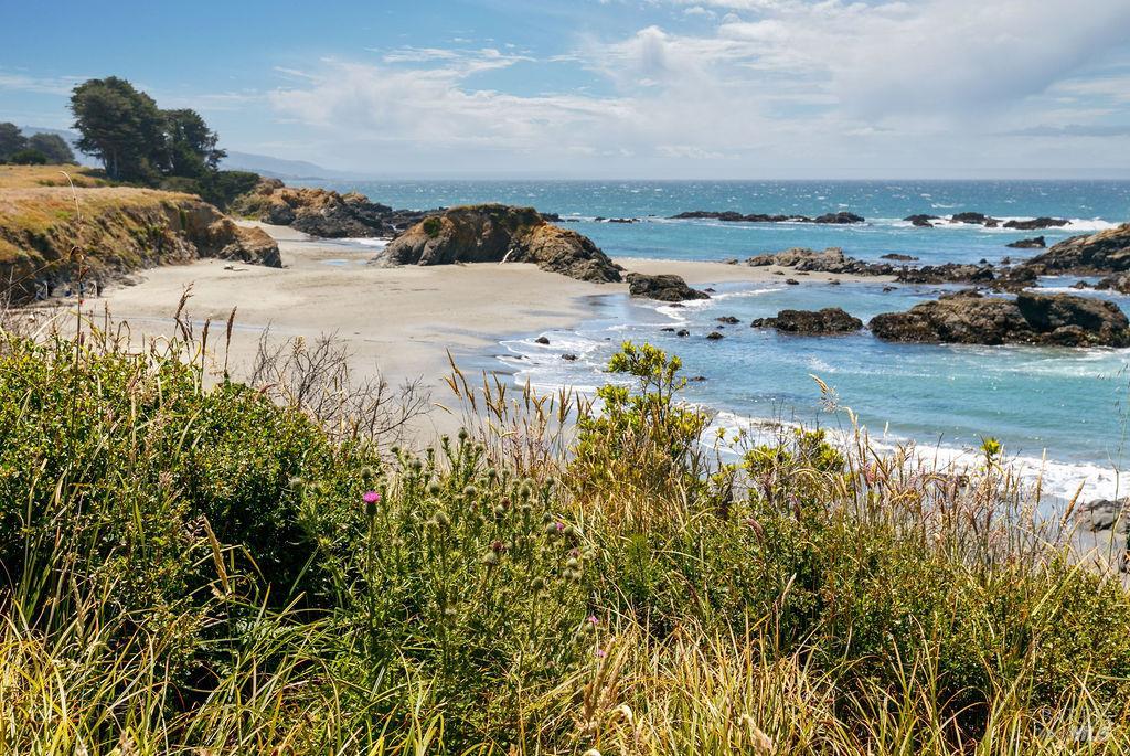 880 River Beach Road The Sea Ranch CA 95497