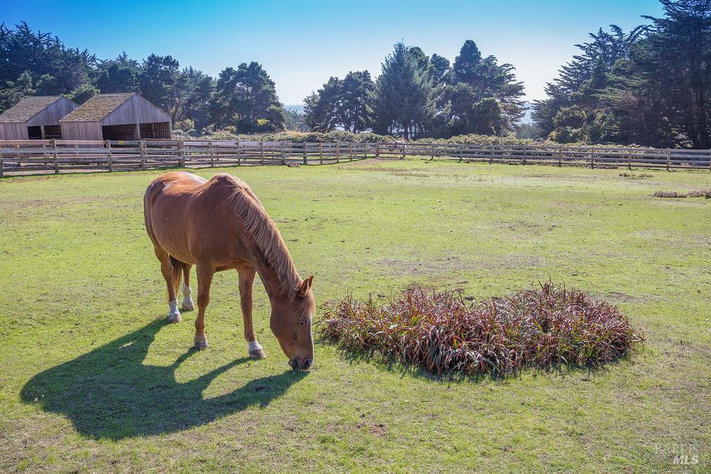 880 River Beach Road The Sea Ranch CA 95497