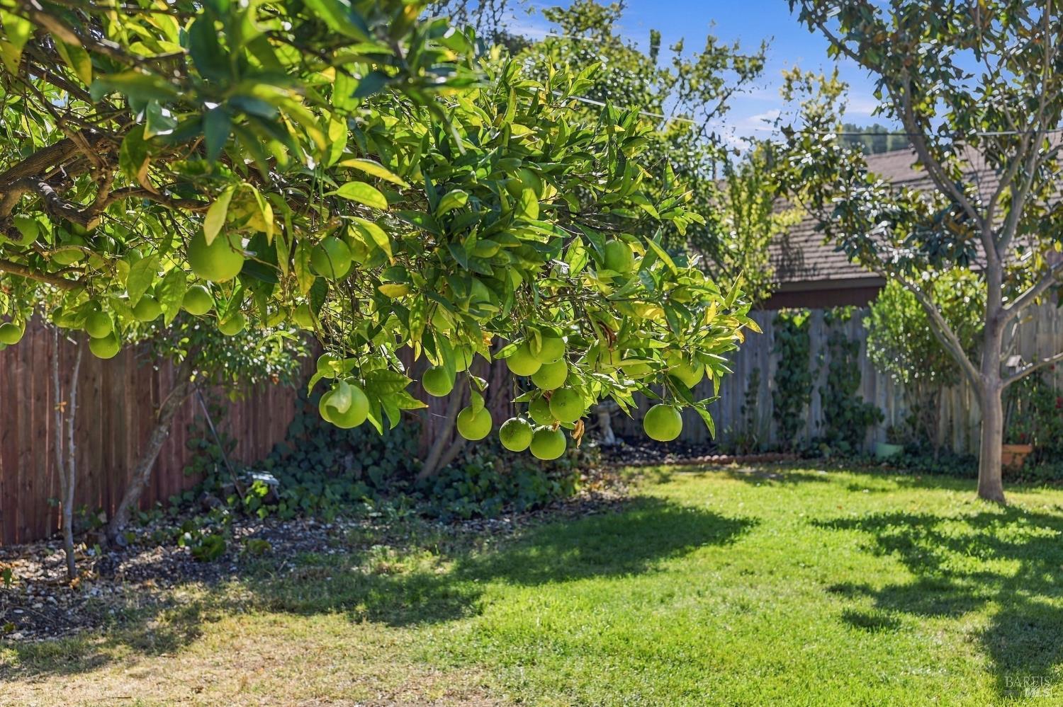 858 Brentwood Avenue Vallejo CA 94591