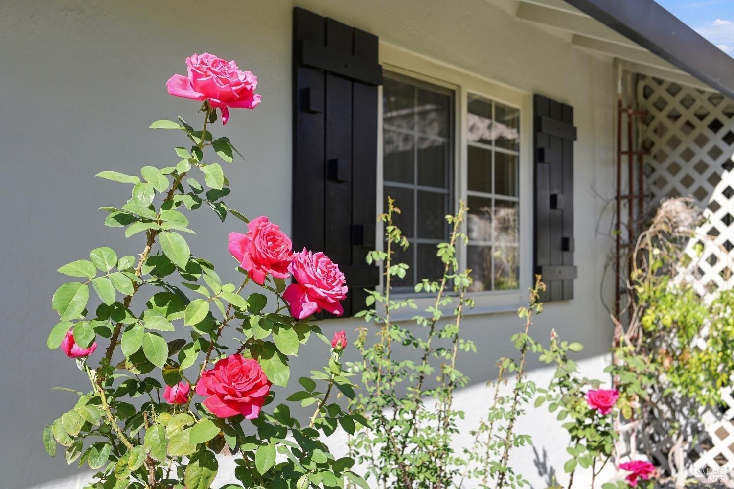 858 Brentwood Avenue Vallejo CA 94591