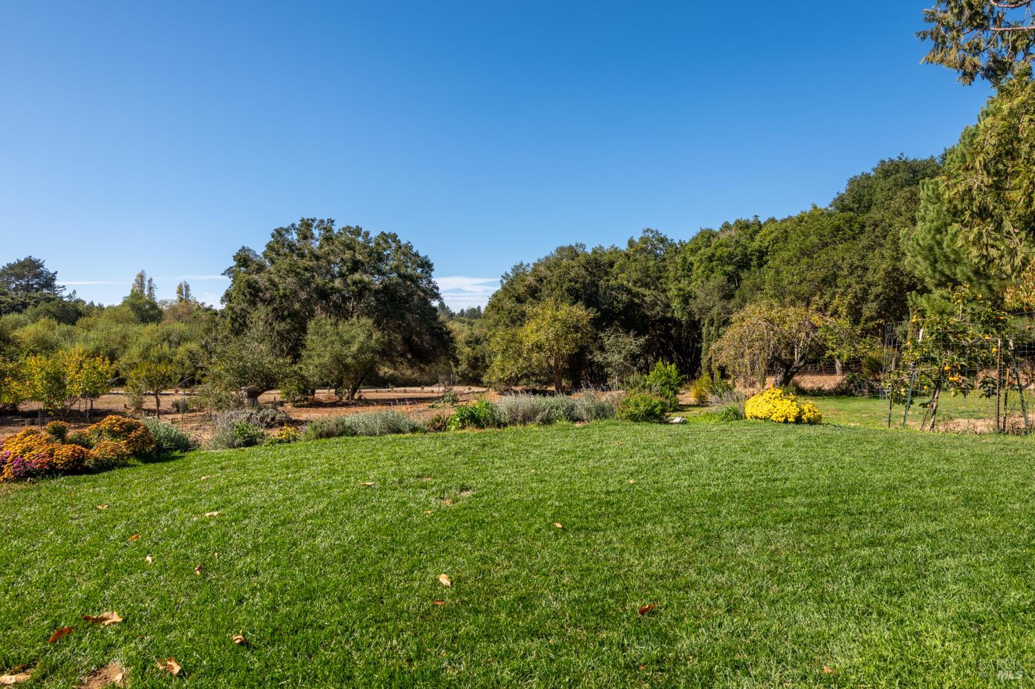 310 Sparkes Road Sebastopol CA 95472