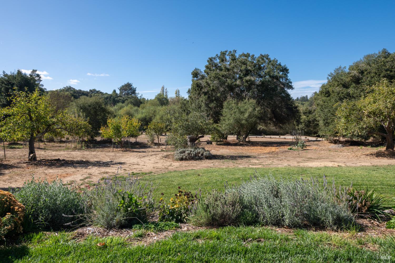 310 Sparkes Road Sebastopol CA 95472