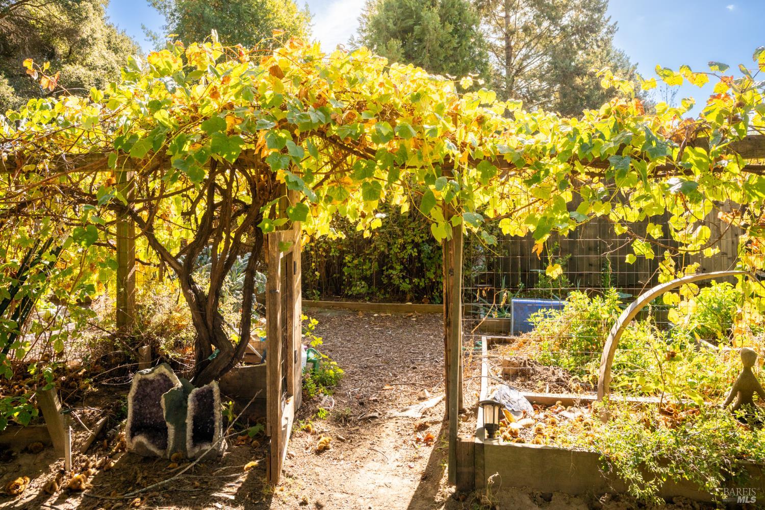 310 Sparkes Road Sebastopol CA 95472