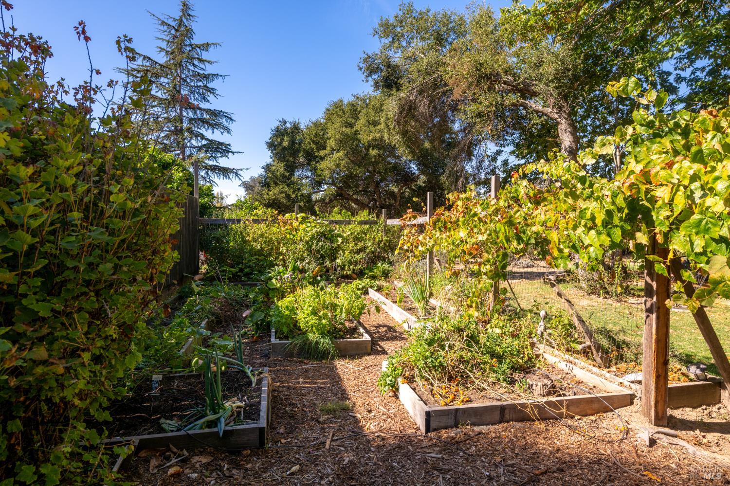310 Sparkes Road Sebastopol CA 95472