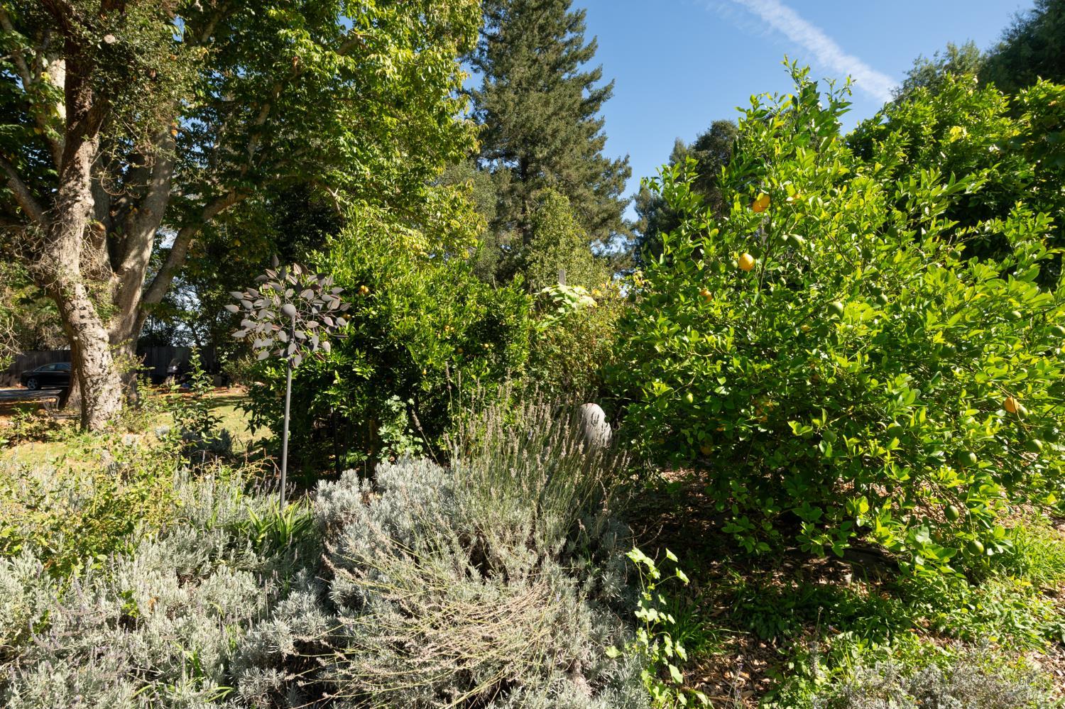 310 Sparkes Road Sebastopol CA 95472