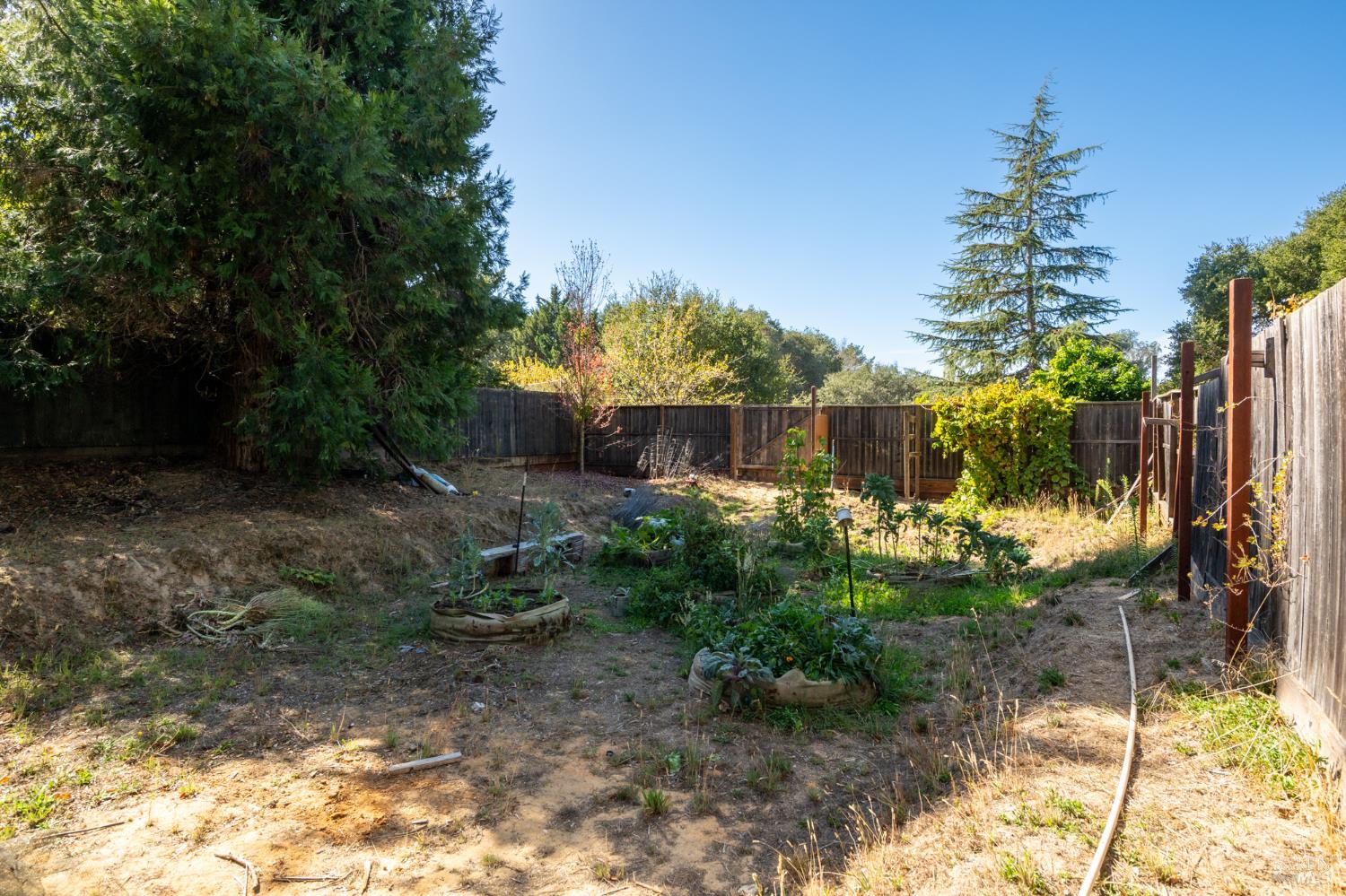 310 Sparkes Road Sebastopol CA 95472