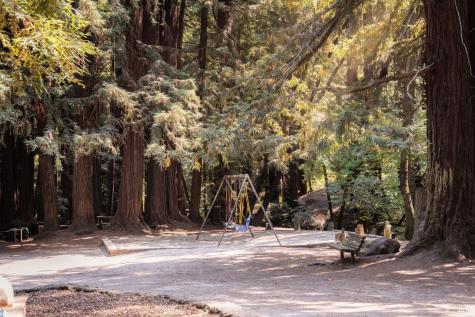 385 Throckmorton Avenue Mill Valley CA 94941