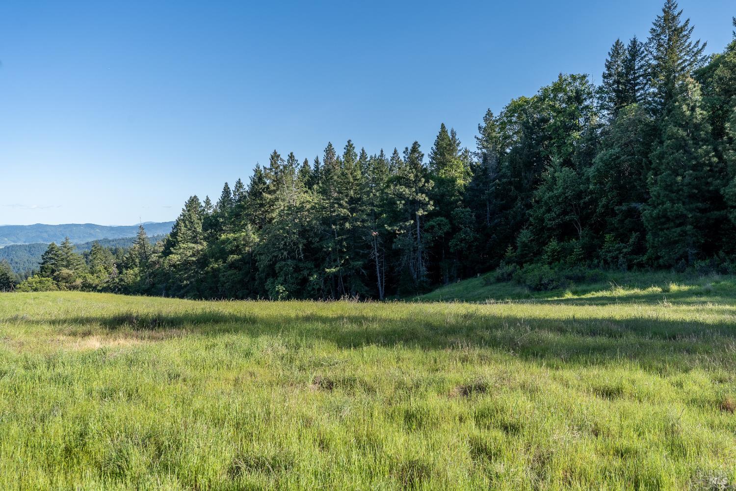 28801 Pinecrest Road Willits CA 95490