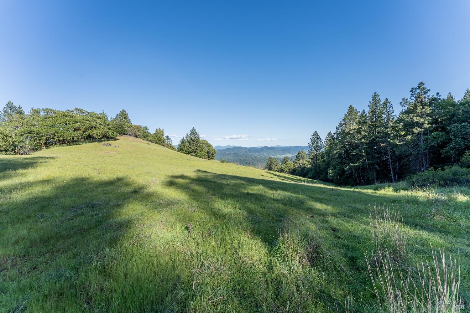 28801 Pinecrest Road Willits CA 95490