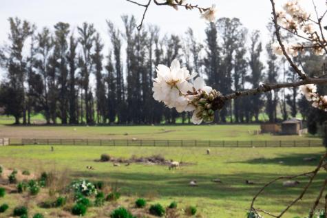 5215 Lakeville Highway Petaluma CA 94954