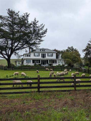 5215 Lakeville Highway Petaluma CA 94954