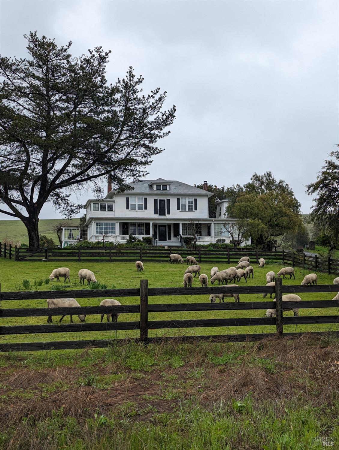 5215 Lakeville Highway Petaluma CA 94954