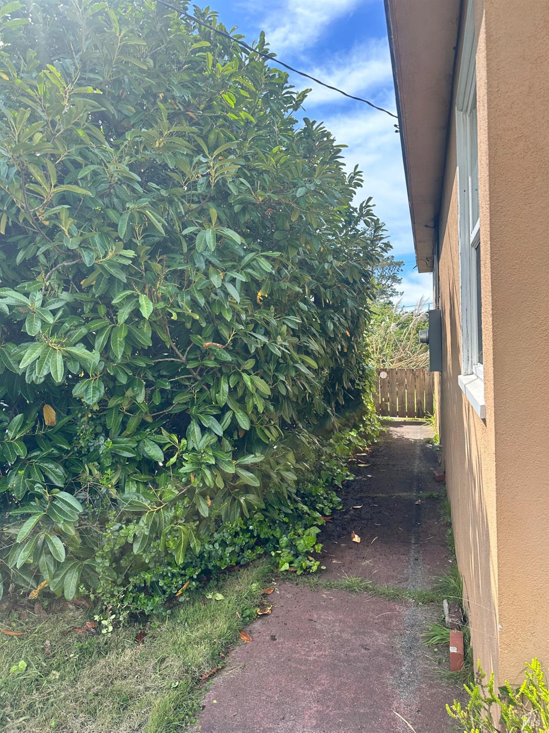 18700 N Highway 1 Fort Bragg CA 95437