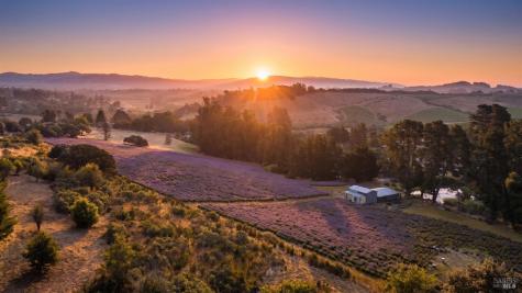 3518 Bloomfield Road Sebastopol CA 95472