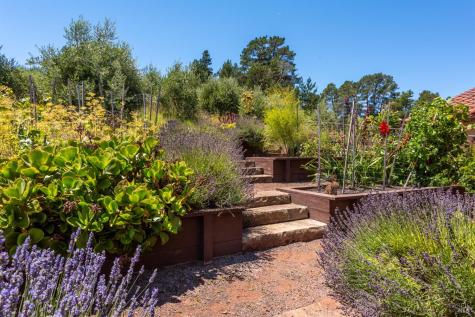 3518 Bloomfield Road Sebastopol CA 95472