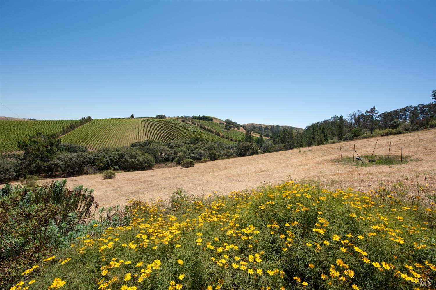 3518 Bloomfield Road Sebastopol CA 95472
