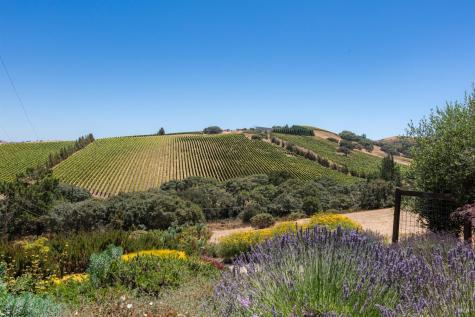 3518 Bloomfield Road Sebastopol CA 95472