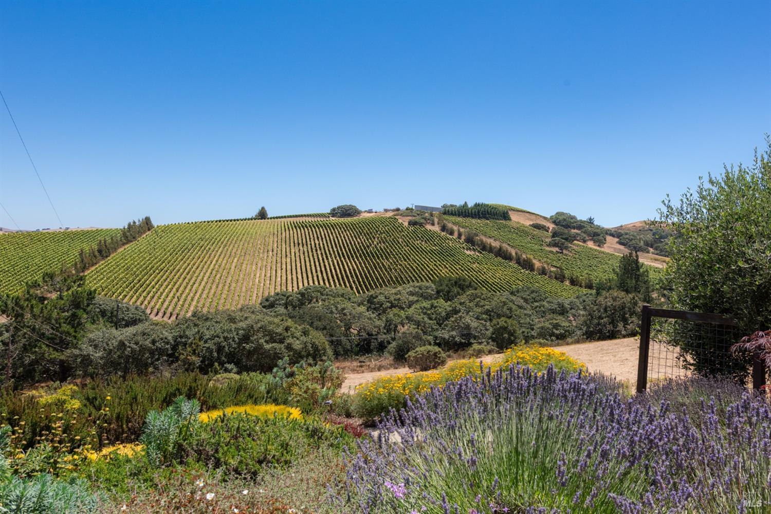 3518 Bloomfield Road Sebastopol CA 95472