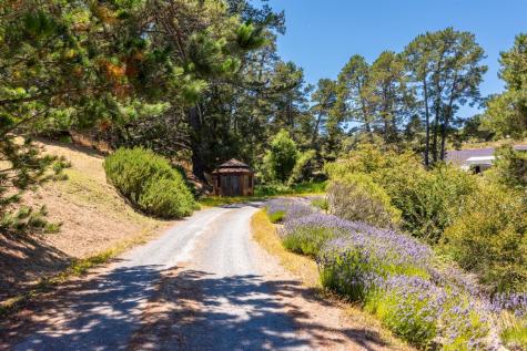 3518 Bloomfield Road Sebastopol CA 95472