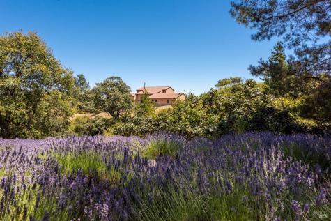 3518 Bloomfield Road Sebastopol CA 95472