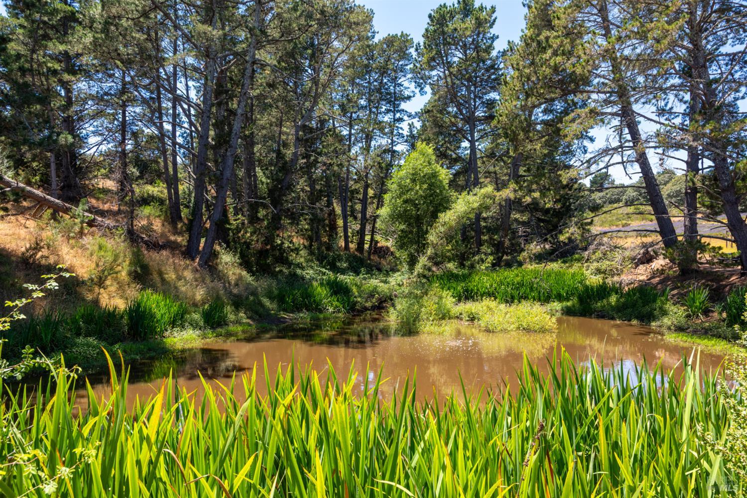 3518 Bloomfield Road Sebastopol CA 95472