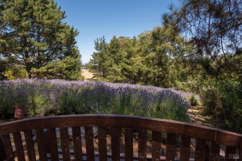 3518 Bloomfield Road Sebastopol CA 95472
