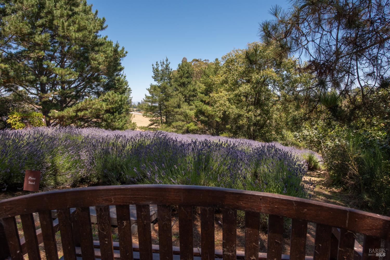 3518 Bloomfield Road Sebastopol CA 95472