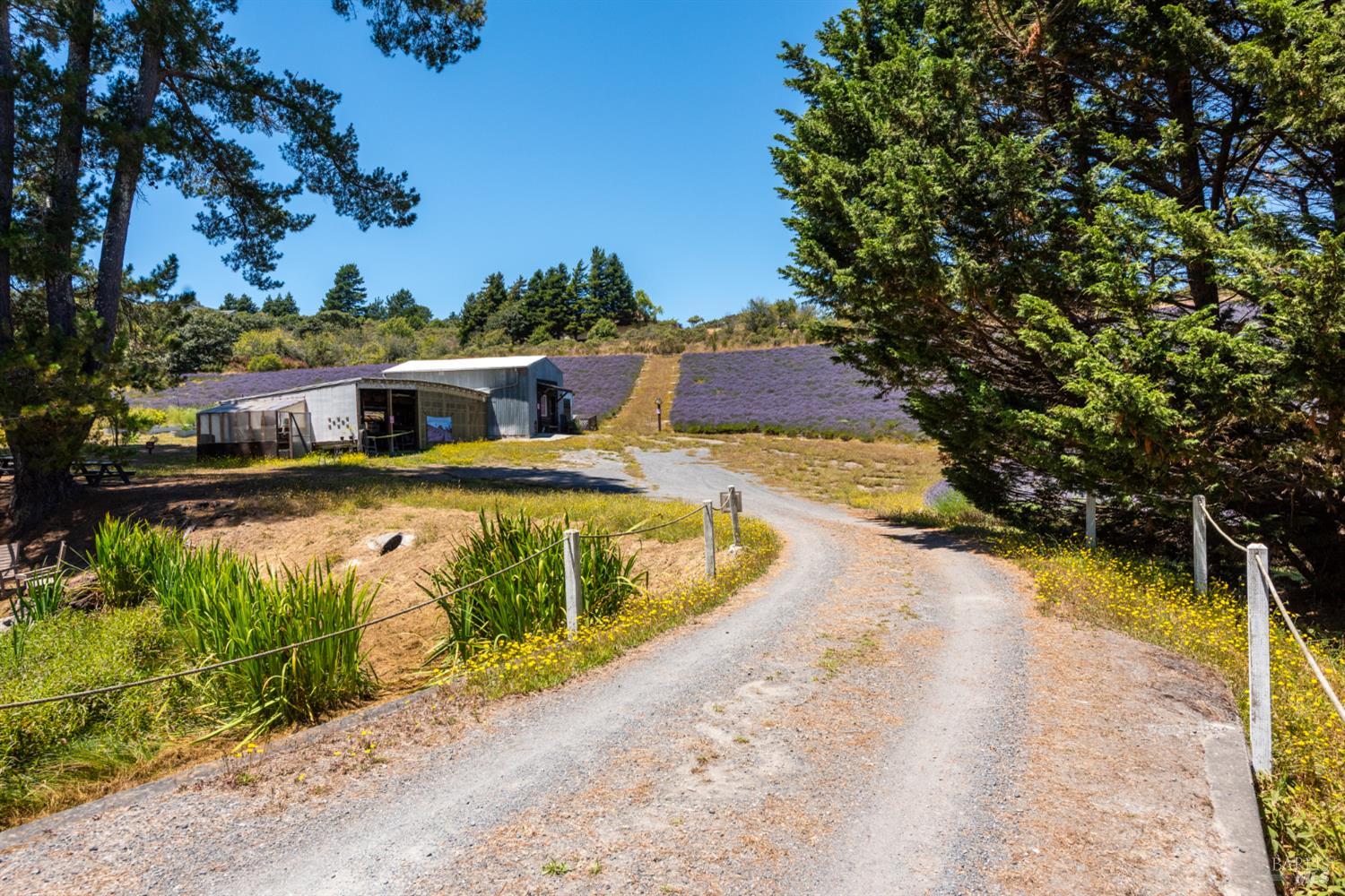 3518 Bloomfield Road Sebastopol CA 95472