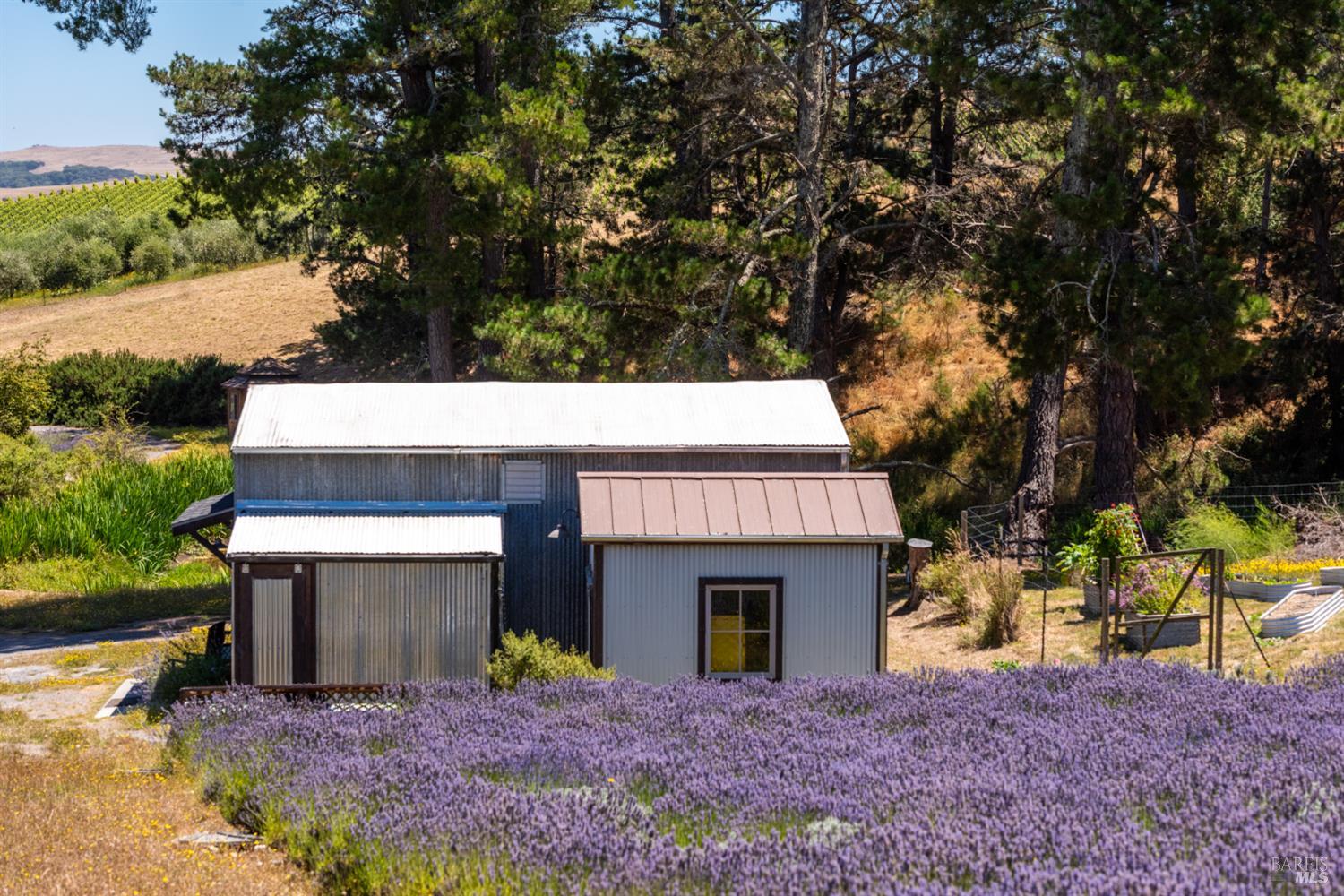 3518 Bloomfield Road Sebastopol CA 95472