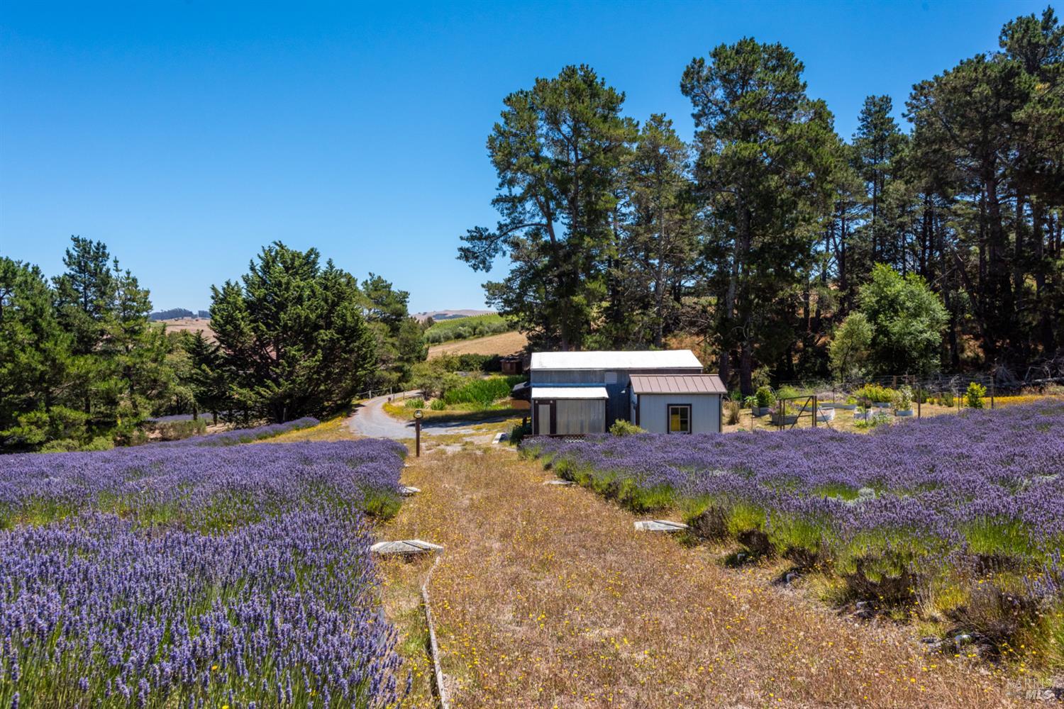 3518 Bloomfield Road Sebastopol CA 95472