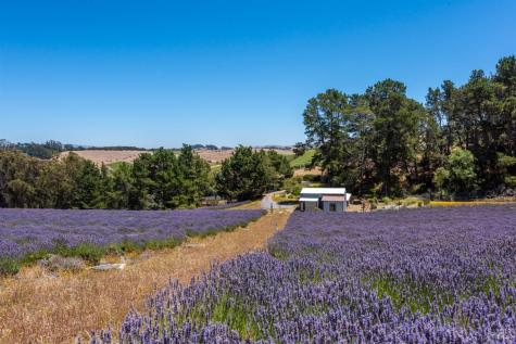 3518 Bloomfield Road Sebastopol CA 95472