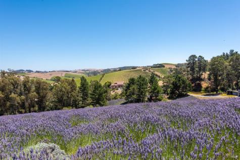 3518 Bloomfield Road Sebastopol CA 95472