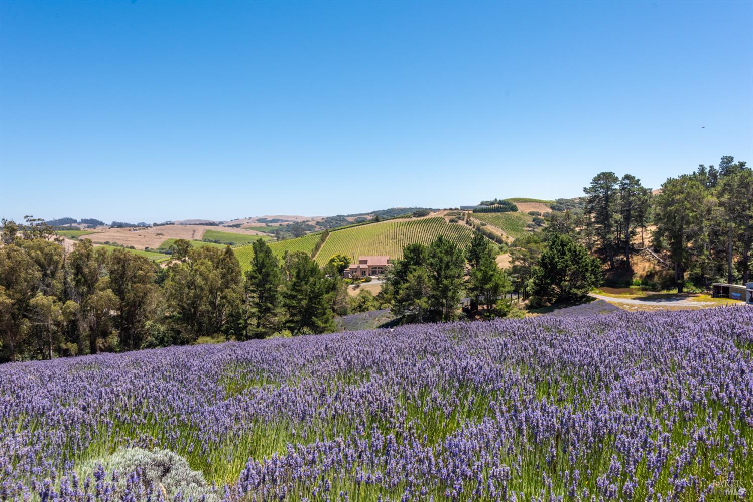 3518 Bloomfield Road Sebastopol CA 95472