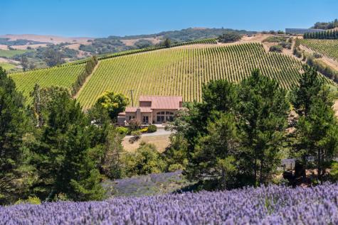 3518 Bloomfield Road Sebastopol CA 95472