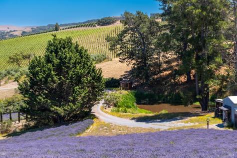 3518 Bloomfield Road Sebastopol CA 95472
