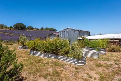 3518 Bloomfield Road Sebastopol CA 95472