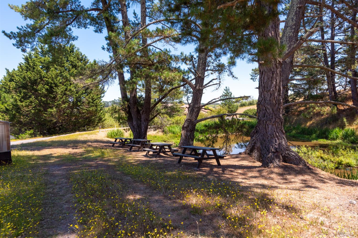 3518 Bloomfield Road Sebastopol CA 95472