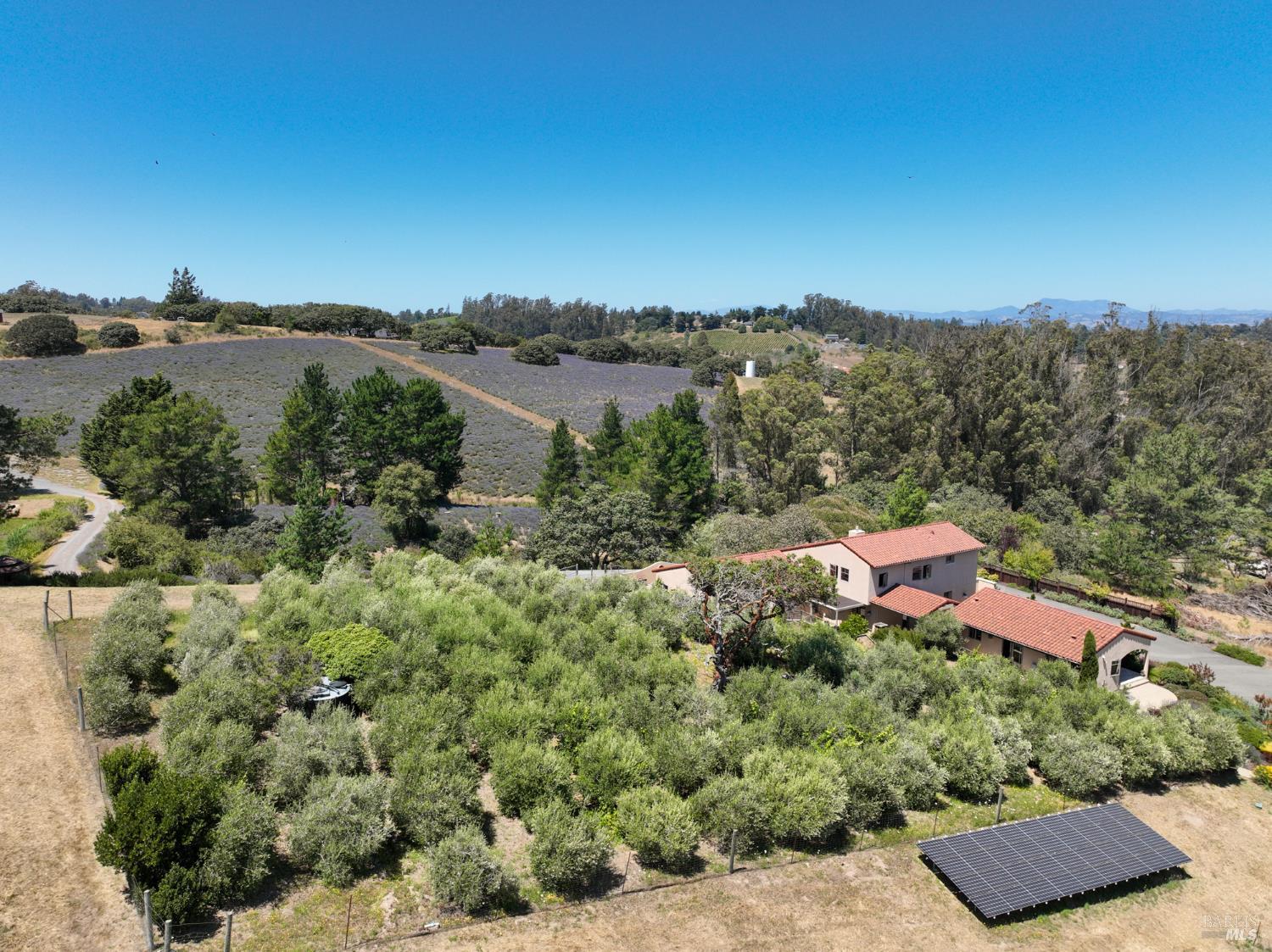 3518 Bloomfield Road Sebastopol CA 95472