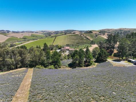 3518 Bloomfield Road Sebastopol CA 95472