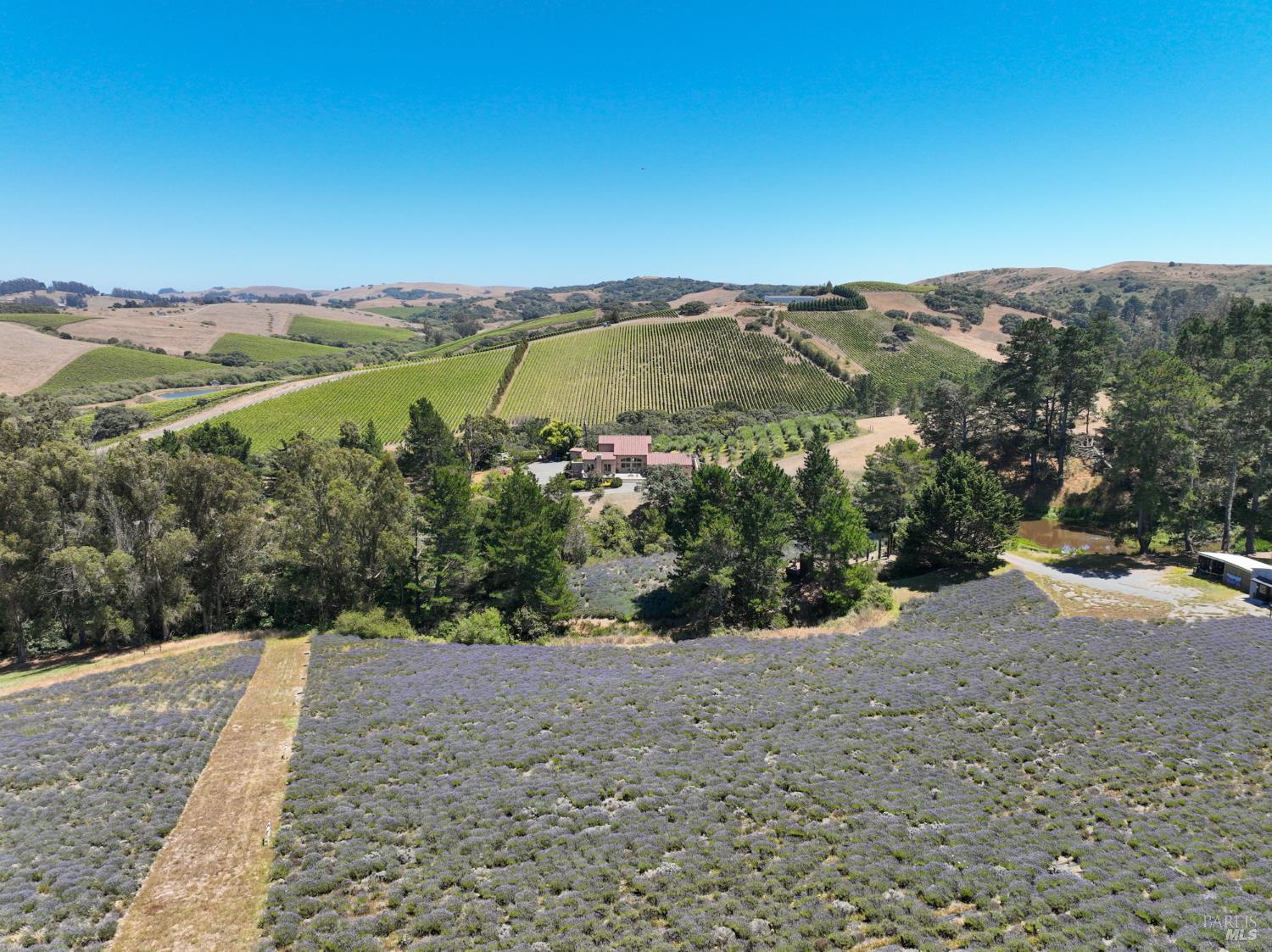 3518 Bloomfield Road Sebastopol CA 95472
