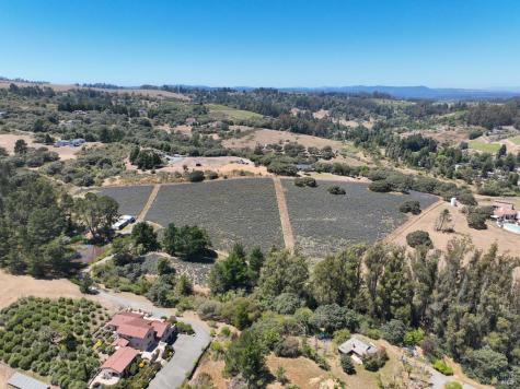 3518 Bloomfield Road Sebastopol CA 95472