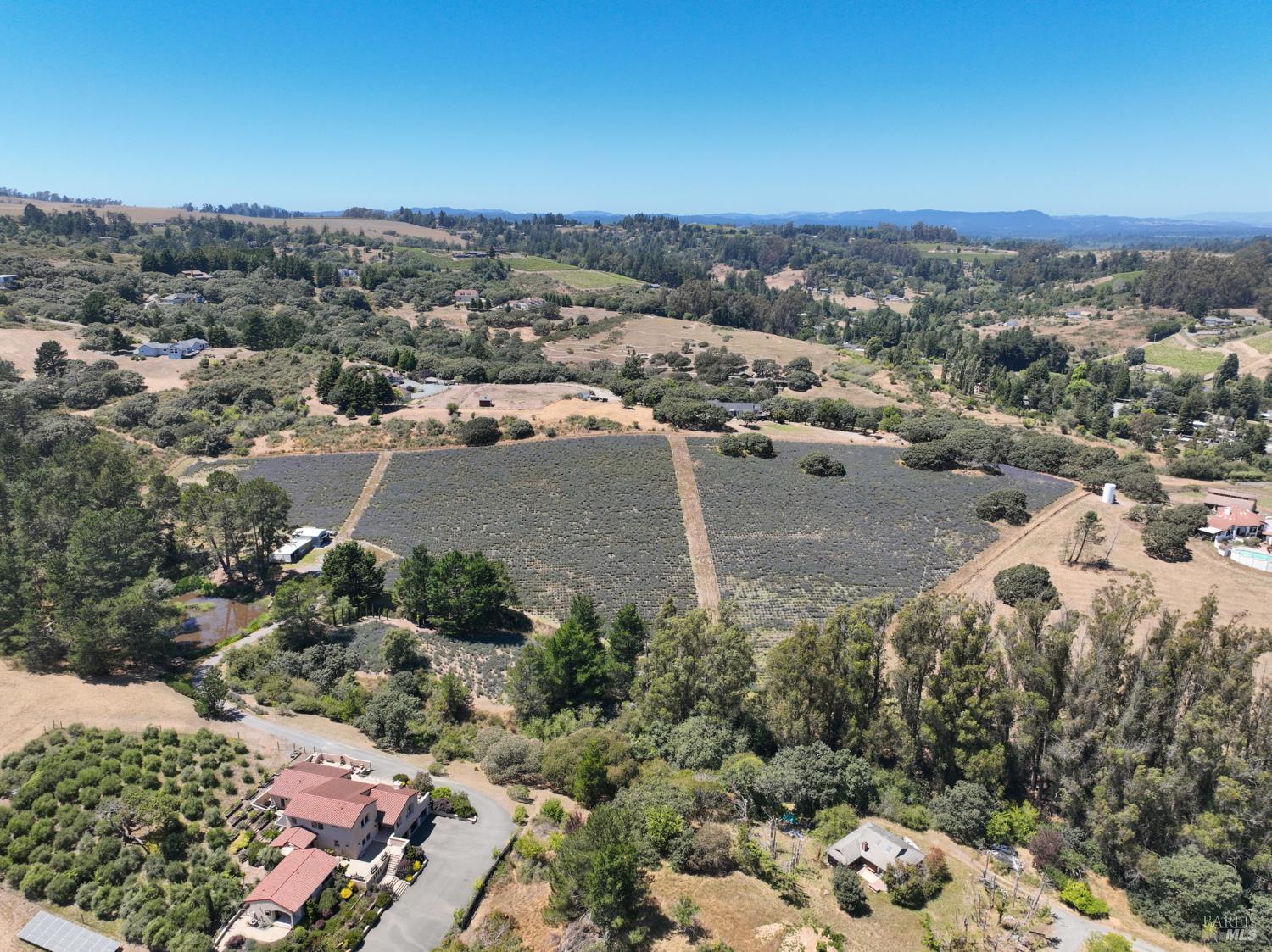 3518 Bloomfield Road Sebastopol CA 95472