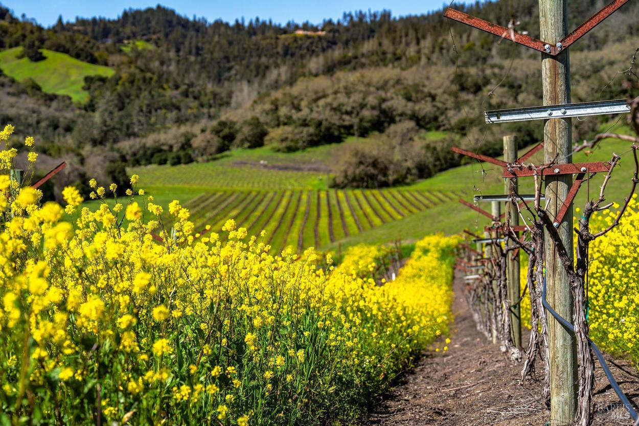 750 Conn Valley Road St. Helena CA 94574