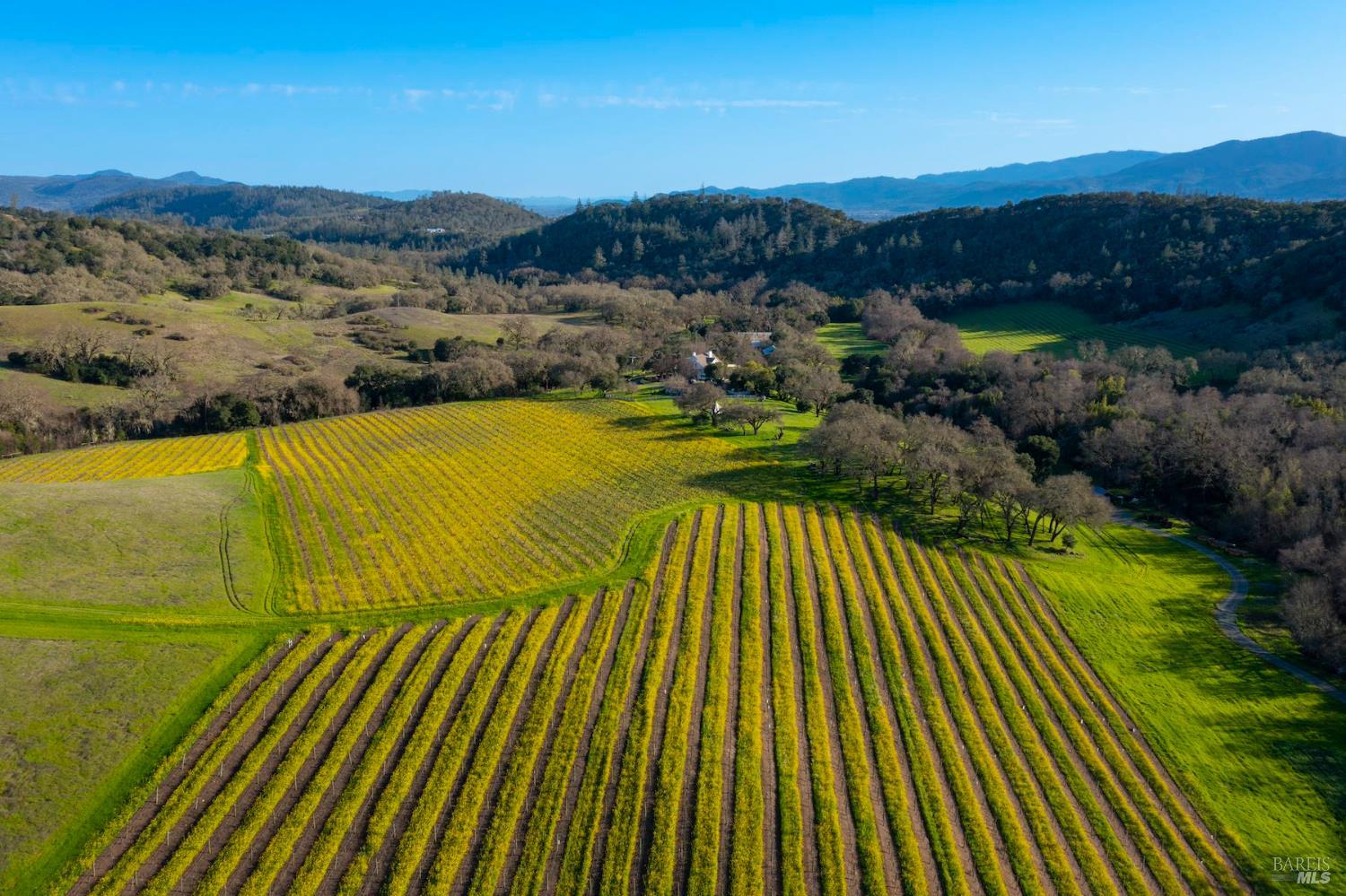 750 Conn Valley Road St. Helena CA 94574