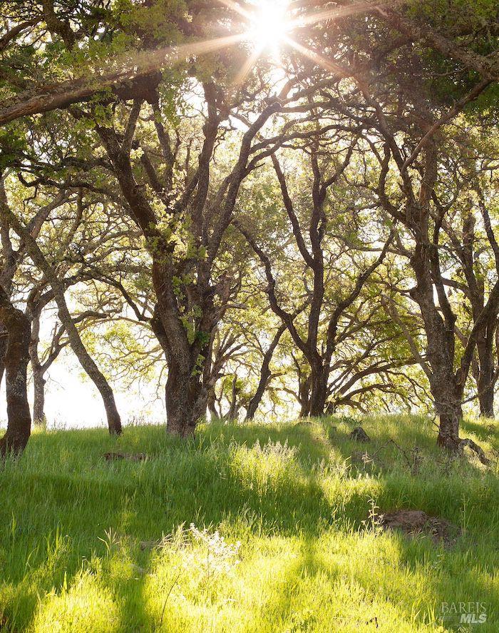 750 Conn Valley Road St. Helena CA 94574