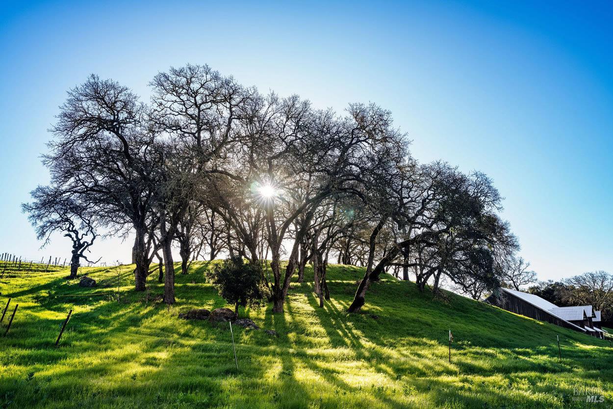 750 Conn Valley Road St. Helena CA 94574